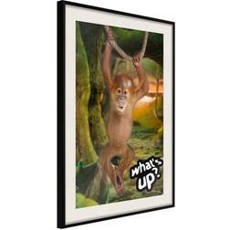 Arkiio Affisch What's Up [Poster] 40x60 Poster